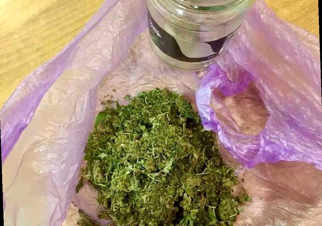 Приехал на заработки, получил статью: в Сочи задержали приезжего с мар