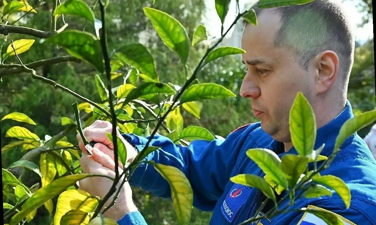 Космонавт Олег Платонов прошёл реабилитацию в Сочи и оставил «след» на