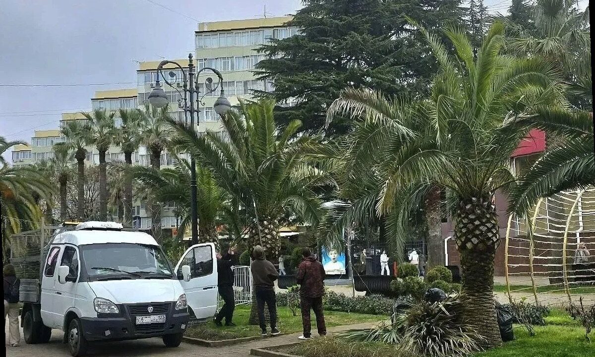 В Сочи начали подготовку пальм к курортному сезону