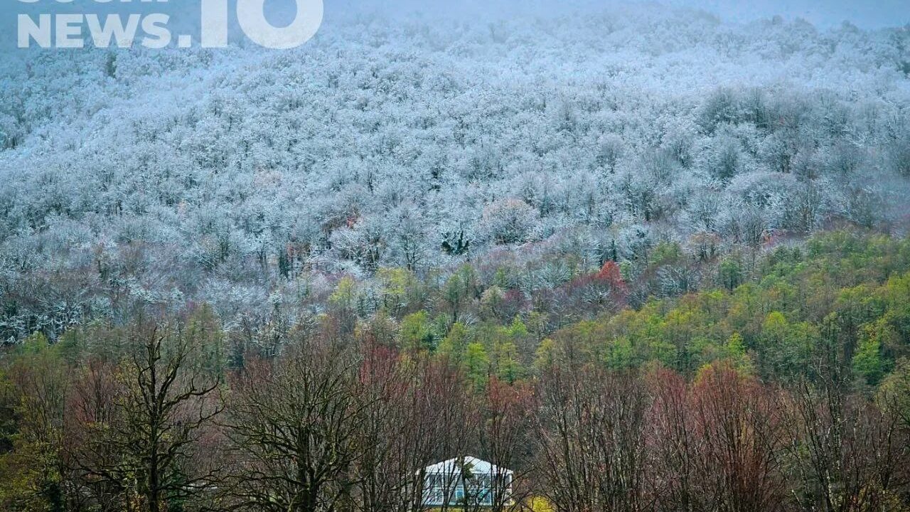 Туман и ливни: в Сочи ухудшится погода, в горах сохраняется лавиноопас