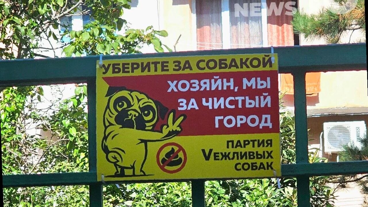 В России вводят новые стандарты для выгула собак