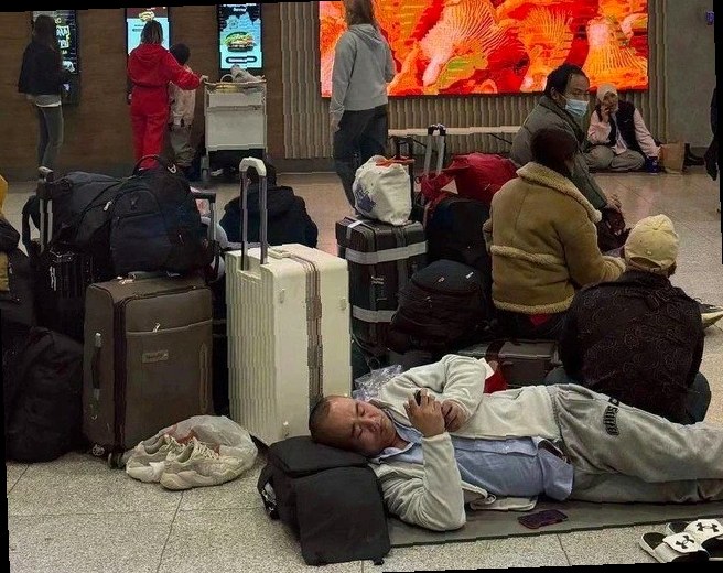 Власти Сочи и аэропорт усилят взаимодействие, чтобы ускорить размещени